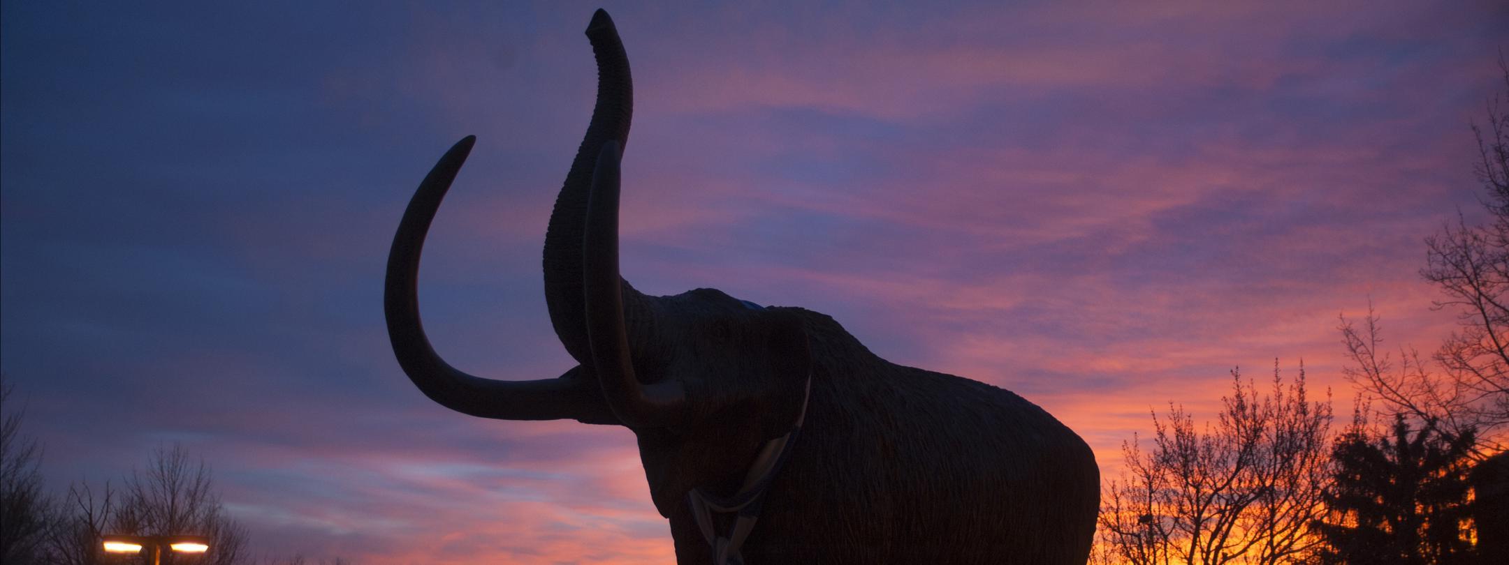 Bronze mastodon silhouetted in the evening sunset.